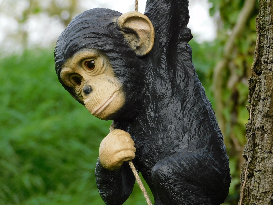 Baby Hangende Aap Clipart Baby Bello Vilten Babymobiel Met Jungle