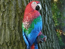 Red Parrot XL - Cast iron - Colourful Wall Decoration