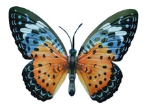 Butterfly Orange - 35 cm - Wall decoration - Metal