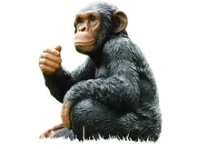 Statue Monkey - 37 cm - Polystone