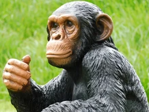 Statue Monkey - 37 cm - Polystone