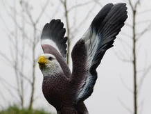 Statue Eagle - 35 cm - Polystone