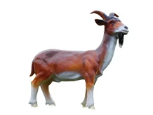 Statue Goat with Goatee - 60 cm - Polystone