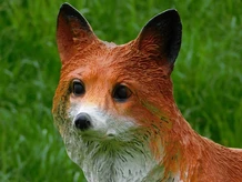 Statue Fox - 50 cm - Polystone
