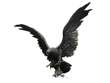 Eagle - bronze - polystone- No sending!