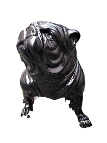 Bulldog English model, polystein-black sitting.