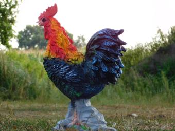 Statue Hahn XL – 65 cm – Polystone in Farbe