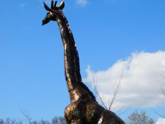 Giraffe Malaika - 290 cm - Handmade and Unique