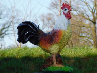 Rooster in Colour - 45 cm - Polystone