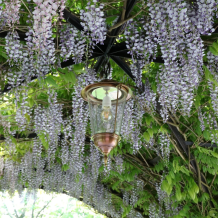 Pendant Lamp Sneek copper - Brass - on Chain - 54 cm