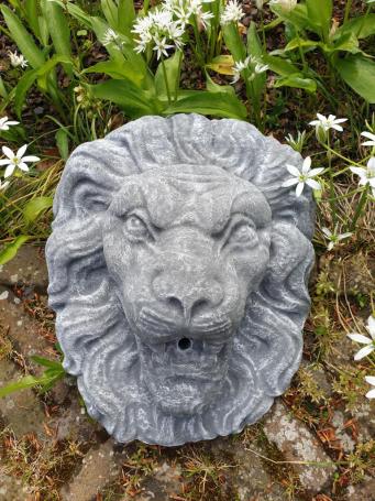 Lion's head as a gargoyle.