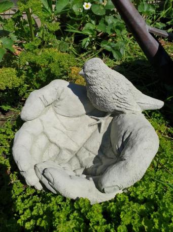 Prachtig vogel voederbak