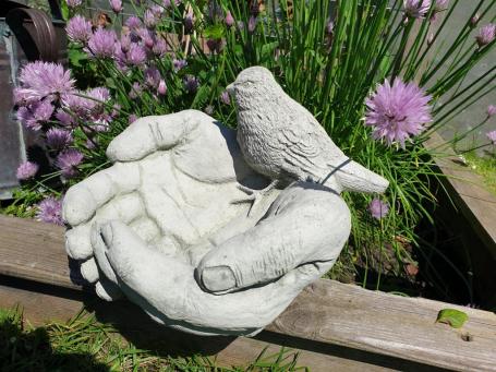 Prachtig vogel voederbak