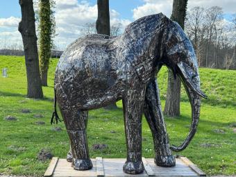 Elephant ‘’Igor‘’ XXL - 210 cm - Handmade & Unique