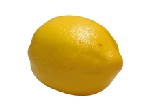 Artificial Lemon – Decorative Artificial Fruit