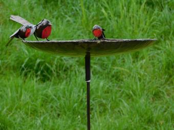 Unikat: Vogelfutterspender - Badewanne - 3 Vögel Rot Schwarz - Handgefertigt