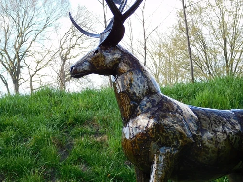 Deer ‘’Afri‘’ XXL - 195 cm - Handmade & Unique