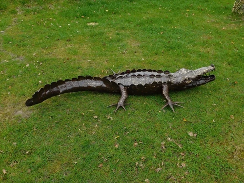 Crocodile XL - 220 cm - Unique and Handmade from Metal