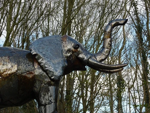 Elephant Jumbo XXL - 225 x 290 cm - Handmade & Unique
