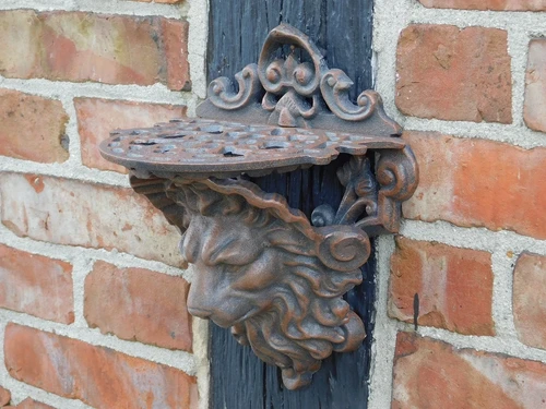 Wall console Lion's head - Brown - Cast iron
