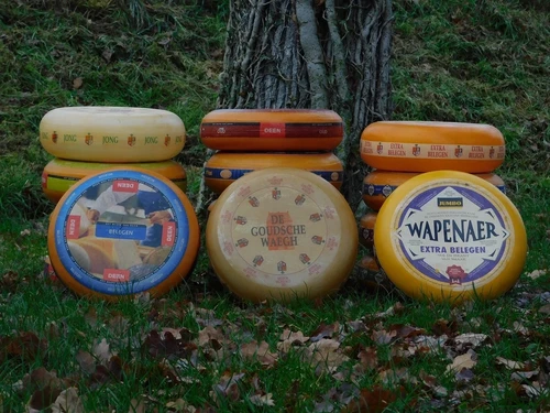 Decoratieve Kaaswielen - 2 stuks - Ø 35 cm - Diverse Soorten