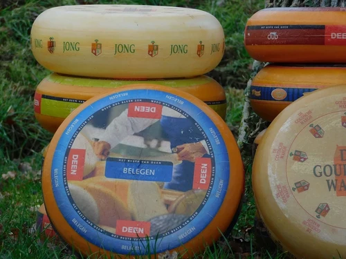 Dekorative Käseräder – 3 Stück – Ø 35 cm – verschiedene Sorten