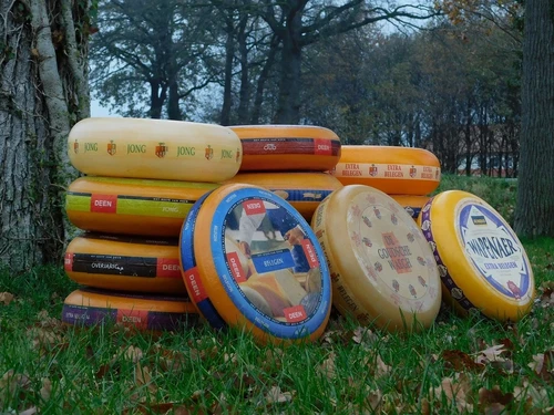 Dekorative Käseräder – 3 Stück – Ø 35 cm – verschiedene Sorten