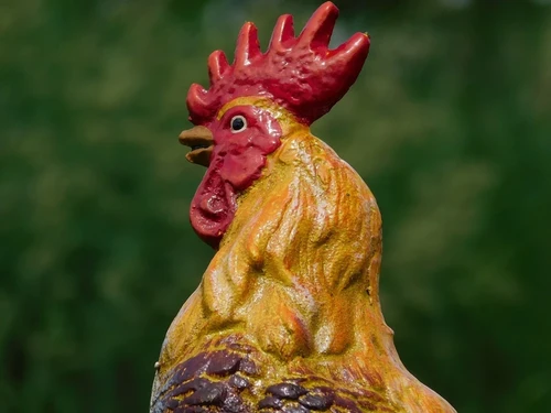Beeld Haan in Kleur - Gietijzer