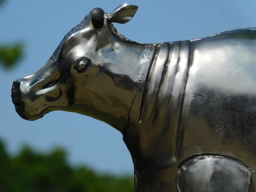Statue Cow - metal - chrome colour, last one!!