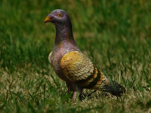 Sculpture of a Pigeon – Cast Iron – Coloured