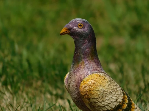 Sculpture of a Pigeon – Cast Iron – Coloured