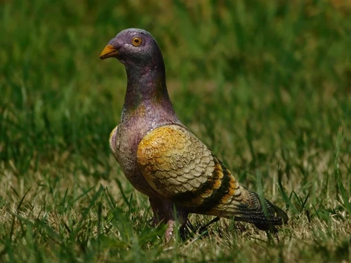 Sculpture of a Pigeon – Cast Iron – Coloured