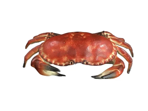 A cast iron crab as a box, jewelry box, very nice!