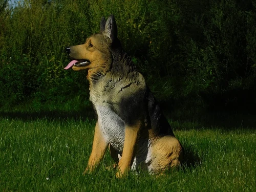 Statue German Shepherd - Polystone - Highly Detailed