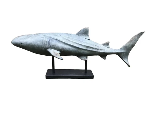 This shark is very special on its stand, beautiful to look at, very decorative!!