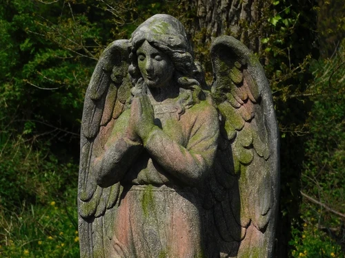 Last one: Statue Angel - polystone - 118cm