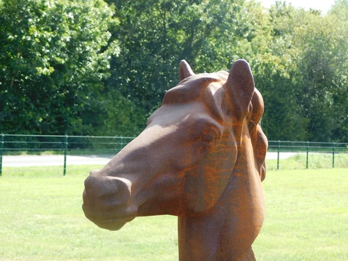 Prachtig fors paardenhoofd gietijzer, onbehandeld, fraai!!