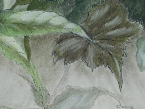 Painting ''Flowers'' - Watercolour - Signed by Dianne