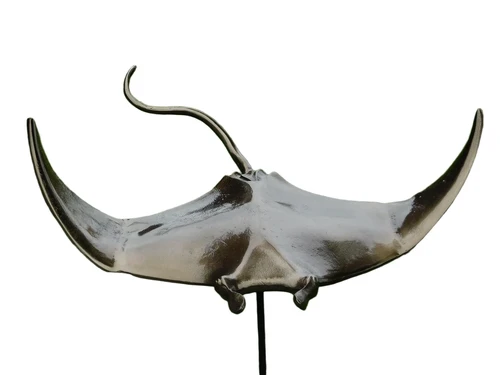 Sculpture Manta Ray Rog - Alu - on Black Alu Base