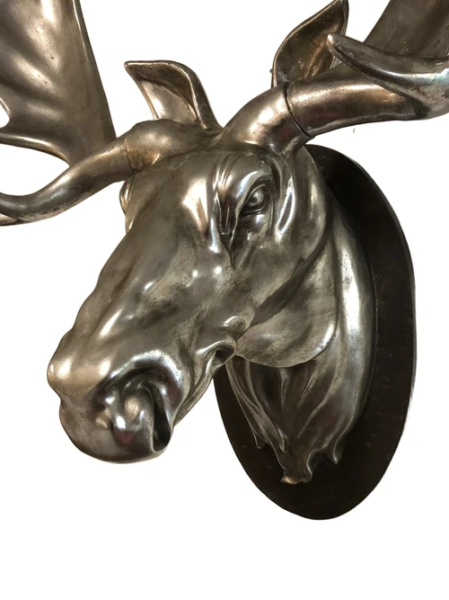 A beautiful and colossal head of a Scandinavian Moose.