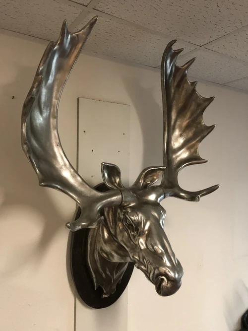A beautiful and colossal head of a Scandinavian Moose.