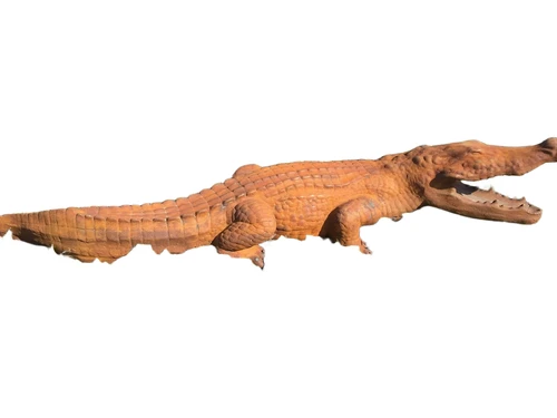Prachtige forse oxide kleurige vol stenen krokodil.
