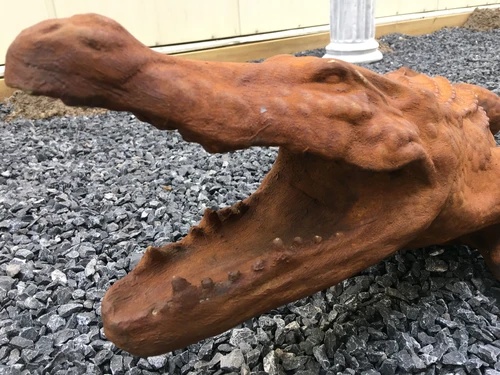 Prachtige forse oxide kleurige vol stenen krokodil.