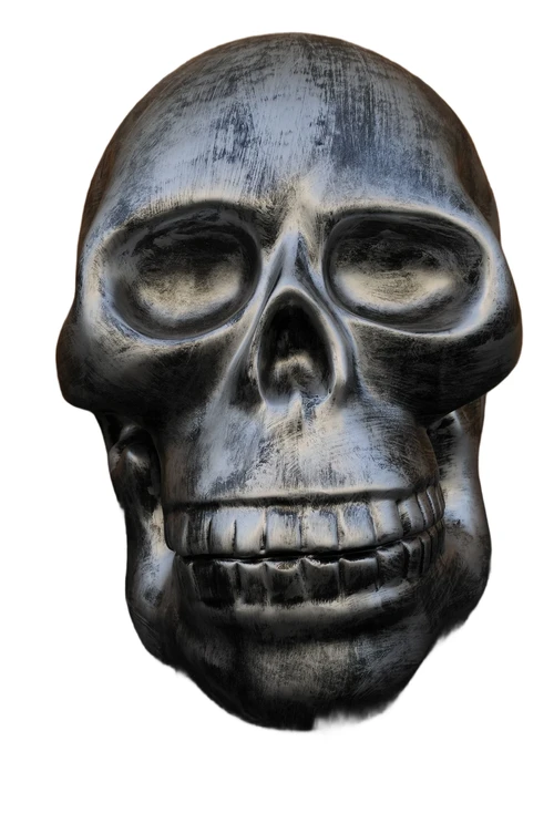 Sehr großer anatomischer Schädel, aus Polystein grau-schwarz