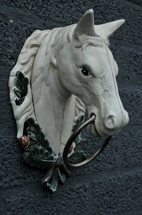 Horse's Head with Ring – Cast Iron – White/Rust