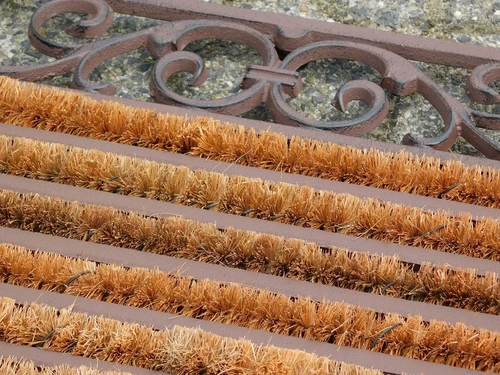 Sturdy Doormat with Coconut Roller Brushes - Cast iron