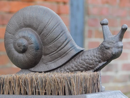 Foot sweeper Snail - cast iron