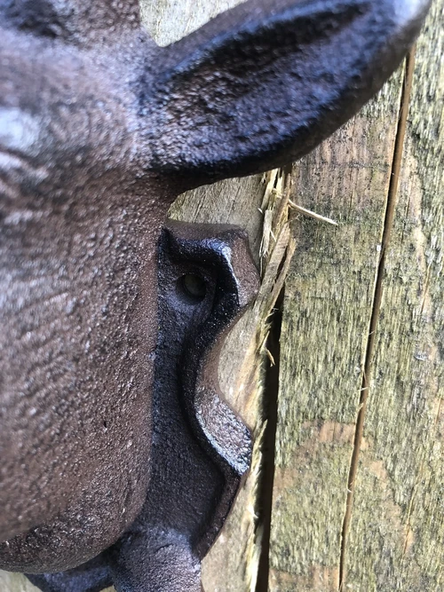 Deer Head Wall Coat Rack - Cast Iron - 2 Hooks - Country & Hunting Style