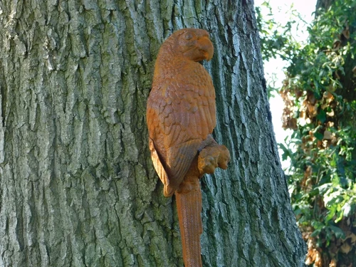 Papegaai XL in Oxide - Gietijzer -  Wanddecoratie