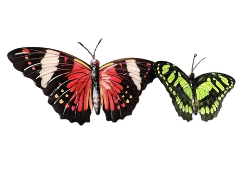 Beautiful set of wall butterflies, beautiful in color and made of metal.